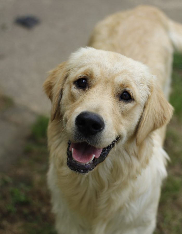 67893855_2939624856110694_5542372626510381056_n